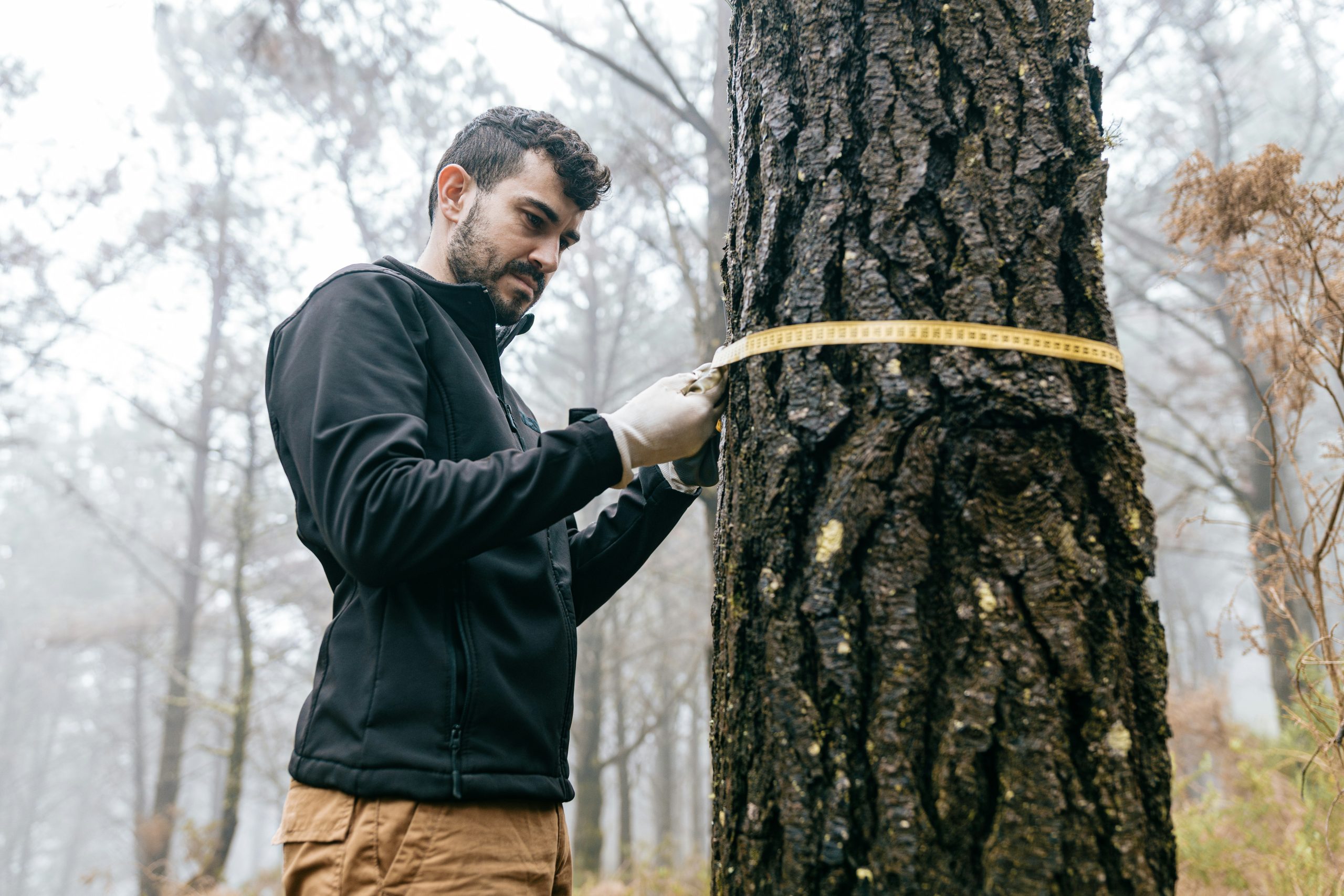 University of Maryland and University of Kentucky Named 2021 Family Forests Education Awardees