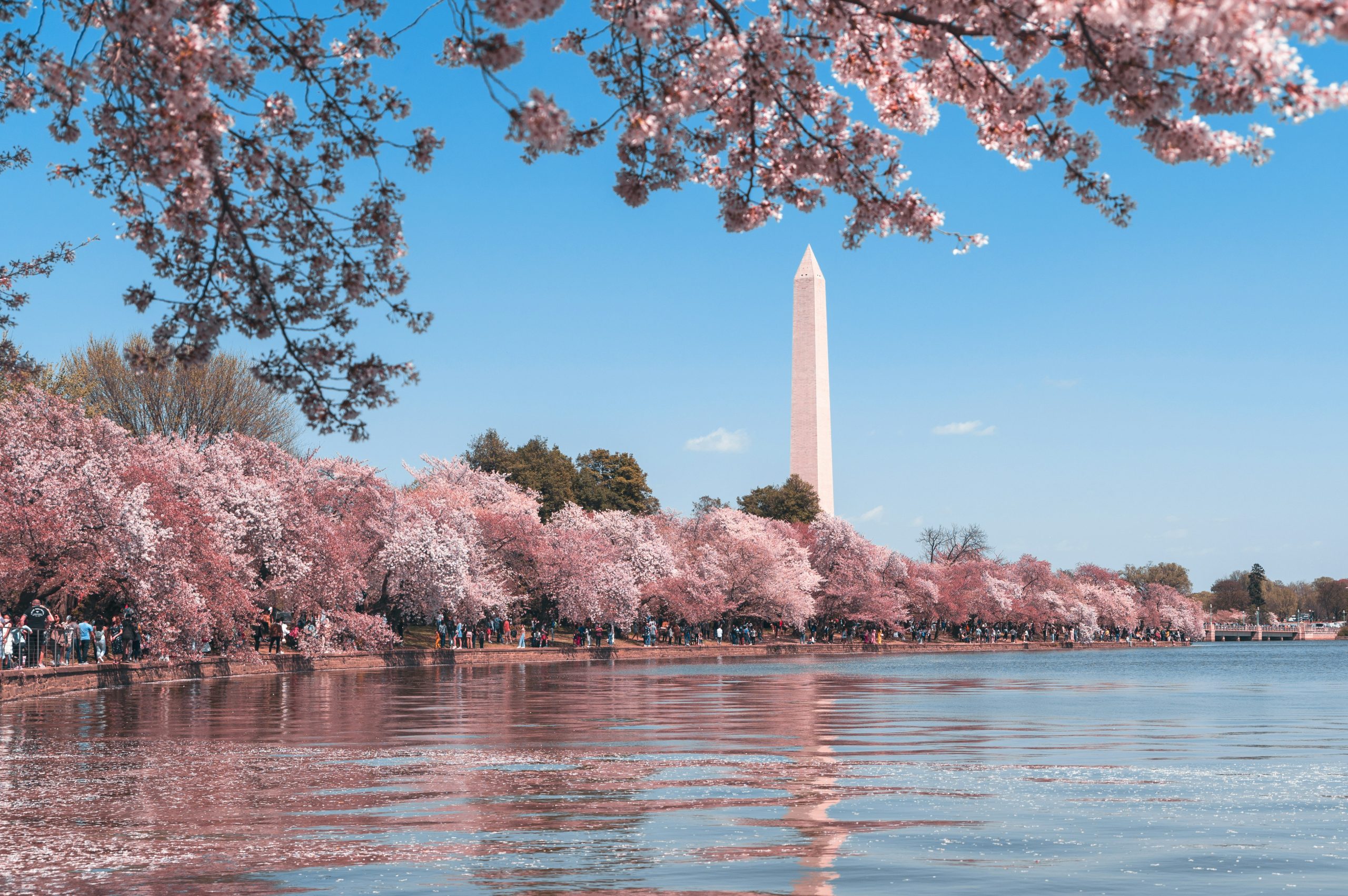 NAUFRP Executive Committee To Meet March 2026 in DC