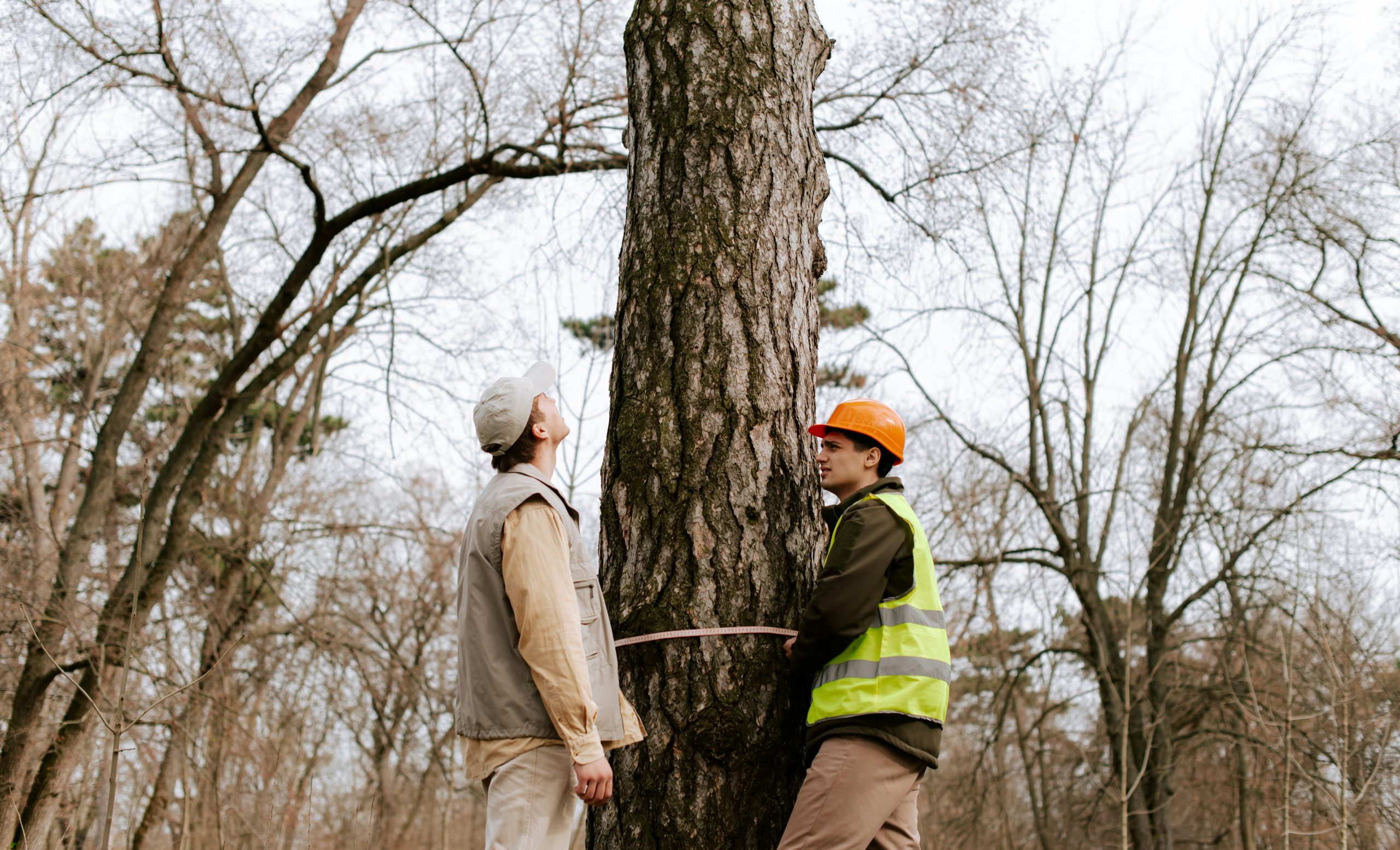 University of Georgia’s Warnell School of Forestry and Natural Resources Outreach Program and the Connecticut Master Woodland Manager Program named 2023 Family Forest Education Program Award Winners