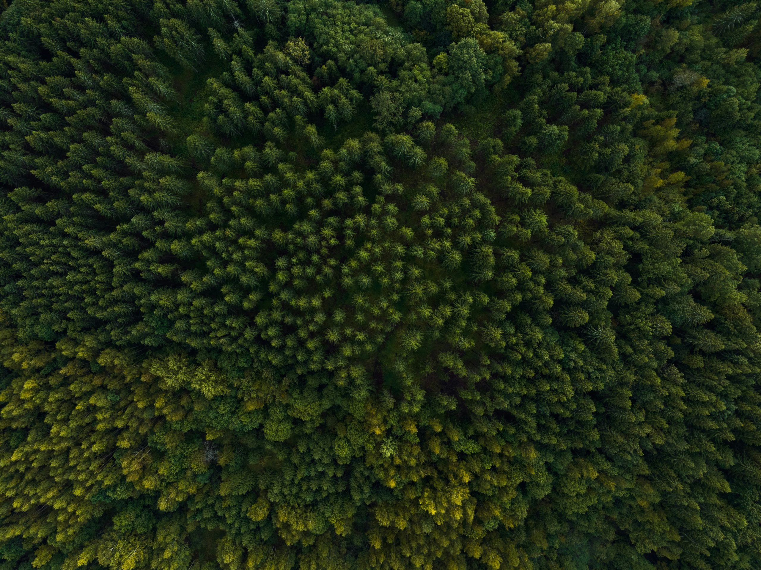 Call for nominations: 2026 Family Forests Education Awards